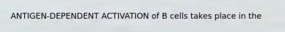 ANTIGEN-DEPENDENT ACTIVATION of B cells takes place in the