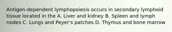 Antigen-dependent lymphopoiesis occurs in secondary lymphoid tissue located in the A. Liver and kidney B. Spleen and lymph nodes C. Lungs and Peyer's patches D. Thymus and bone marrow