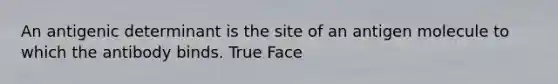 An antigenic determinant is the site of an antigen molecule to which the antibody binds. True Face