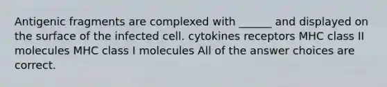 Antigenic fragments are complexed with ______ and displayed on the surface of the infected cell. cytokines receptors MHC class II molecules MHC class I molecules All of the answer choices are correct.