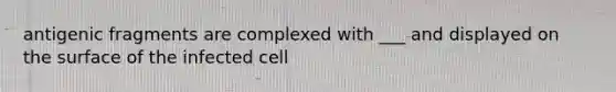 antigenic fragments are complexed with ___ and displayed on the surface of the infected cell