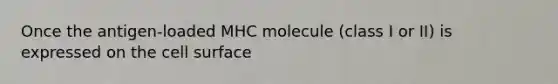 Once the antigen-loaded MHC molecule (class I or II) is expressed on the cell surface