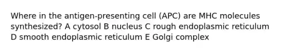 Where in the antigen-presenting cell (APC) are MHC molecules synthesized? A cytosol B nucleus C rough endoplasmic reticulum D smooth endoplasmic reticulum E Golgi complex