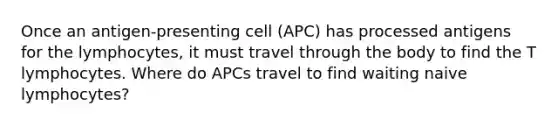 Once an antigen-presenting cell (APC) has processed antigens for the lymphocytes, it must travel through the body to find the T lymphocytes. Where do APCs travel to find waiting naive lymphocytes?