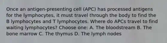 Once an antigen-presenting cell (APC) has processed antigens for the lymphocytes, it must travel through the body to find the B lymphocytes and T lymphocytes. Where do APCs travel to find waiting lymphocytes? Choose one: A. The bloodstream B. The bone marrow C. The thymus D. The lymph nodes