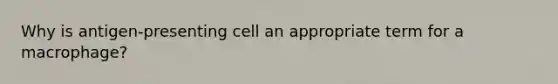 Why is antigen-presenting cell an appropriate term for a macrophage?