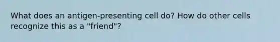 What does an antigen-presenting cell do? How do other cells recognize this as a "friend"?