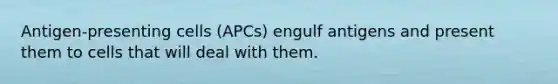 Antigen-presenting cells (APCs) engulf antigens and present them to cells that will deal with them.