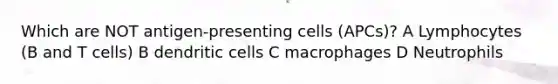 Which are NOT antigen-presenting cells (APCs)? A Lymphocytes (B and T cells) B dendritic cells C macrophages D Neutrophils