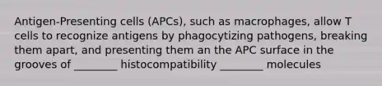 Antigen-Presenting cells (APCs), such as macrophages, allow T cells to recognize antigens by phagocytizing pathogens, breaking them apart, and presenting them an the APC surface in the grooves of ________ histocompatibility ________ molecules