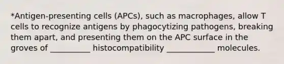 *Antigen-presenting cells (APCs), such as macrophages, allow T cells to recognize antigens by phagocytizing pathogens, breaking them apart, and presenting them on the APC surface in the groves of __________ histocompatibility ____________ molecules.