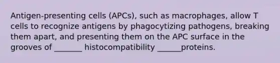 Antigen-presenting cells (APCs), such as macrophages, allow T cells to recognize antigens by phagocytizing pathogens, breaking them apart, and presenting them on the APC surface in the grooves of _______ histocompatibility ______proteins.