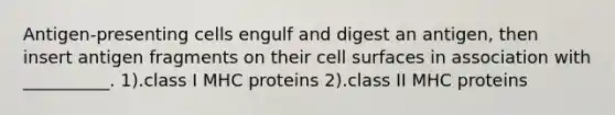 Antigen-presenting cells engulf and digest an antigen, then insert antigen fragments on their cell surfaces in association with __________. 1).class I MHC proteins 2).class II MHC proteins