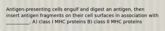 Antigen-presenting cells engulf and digest an antigen, then insert antigen fragments on their cell surfaces in association with __________. A) class I MHC proteins B) class II MHC proteins