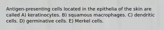 Antigen-presenting cells located in the epithelia of the skin are called A) keratinocytes. B) squamous macrophages. C) dendritic cells. D) germinative cells. E) Merkel cells.