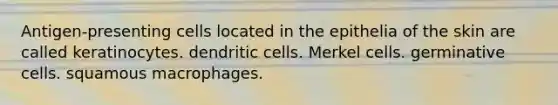 Antigen-presenting cells located in the epithelia of the skin are called keratinocytes. dendritic cells. Merkel cells. germinative cells. squamous macrophages.