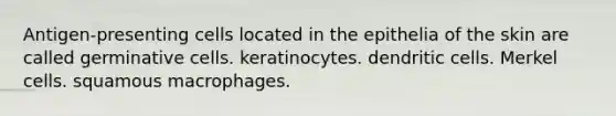 Antigen-presenting cells located in the epithelia of the skin are called germinative cells. keratinocytes. dendritic cells. Merkel cells. squamous macrophages.