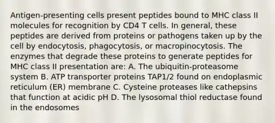 Antigen-presenting cells present peptides bound to MHC class II molecules for recognition by CD4 T cells. In general, these peptides are derived from proteins or pathogens taken up by the cell by endocytosis, phagocytosis, or macropinocytosis. The enzymes that degrade these proteins to generate peptides for MHC class II presentation are: A. The ubiquitin-proteasome system B. ATP transporter proteins TAP1/2 found on endoplasmic reticulum (ER) membrane C. Cysteine proteases like cathepsins that function at acidic pH D. The lysosomal thiol reductase found in the endosomes