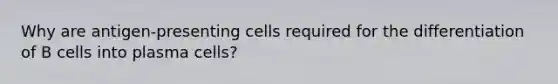 Why are antigen-presenting cells required for the differentiation of B cells into plasma cells?