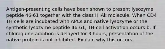 Antigen-presenting cells have been shown to present lysozyme peptide 46-61 together with the class II IAk molecule. When CD4 TH cells are incubated with APCs and native lysozyme or the synthetic lysozyme peptide 46-61, TH-cell activation occurs b. If chloroquine addition is delayed for 3 hours, presentation of the native protein is not inhibited. Explain why this occurs.