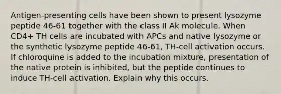 Antigen-presenting cells have been shown to present lysozyme peptide 46-61 together with the class II Ak molecule. When CD4+ TH cells are incubated with APCs and native lysozyme or the synthetic lysozyme peptide 46-61, TH-cell activation occurs. If chloroquine is added to the incubation mixture, presentation of the native protein is inhibited, but the peptide continues to induce TH-cell activation. Explain why this occurs.