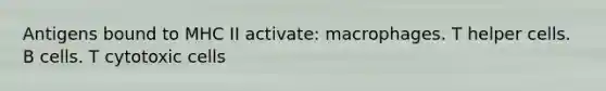 Antigens bound to MHC II activate: macrophages. T helper cells. B cells. T cytotoxic cells