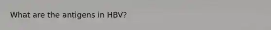 What are the antigens in HBV?