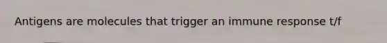 Antigens are molecules that trigger an immune response t/f