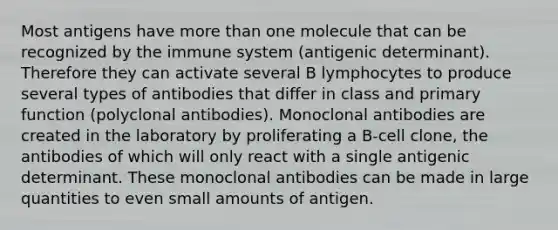 Most antigens have more than one molecule that can be recognized by the immune system (antigenic determinant). Therefore they can activate several B lymphocytes to produce several types of antibodies that differ in class and primary function (polyclonal antibodies). Monoclonal antibodies are created in the laboratory by proliferating a B-cell clone, the antibodies of which will only react with a single antigenic determinant. These monoclonal antibodies can be made in large quantities to even small amounts of antigen.