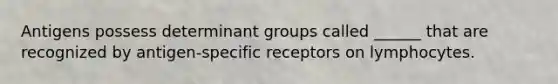 Antigens possess determinant groups called ______ that are recognized by antigen-specific receptors on lymphocytes.