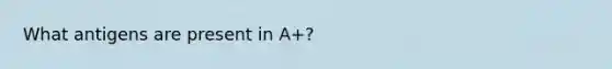 What antigens are present in A+?