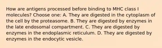 How are antigens processed before binding to MHC class I molecules? Choose one: A. They are digested in the cytoplasm of the cell by the proteasome. B. They are digested by enzymes in the late endosomal compartment. C. They are digested by enzymes in the endoplasmic reticulum. D. They are digested by enzymes in the endocytic vesicle.