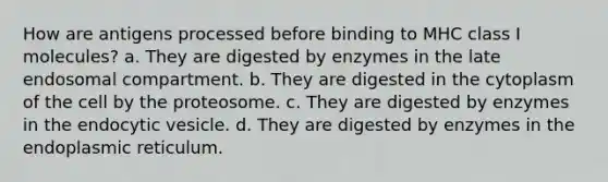 How are antigens processed before binding to MHC class I molecules? a. They are digested by enzymes in the late endosomal compartment. b. They are digested in the cytoplasm of the cell by the proteosome. c. They are digested by enzymes in the endocytic vesicle. d. They are digested by enzymes in the endoplasmic reticulum.