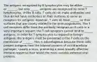 The antigens recognized by B lymphocytes may be either _______ or _______, but only ______ antigens are recognized by most T lymphocytes. Unlike B cells, T cells do not make antibodies and thus do not have antibodies on their surfaces to serve as receptors for antigens. However, T cells do have ______ on their surfaces that are closely related to the immunoglobulins. The T cell receptors differ from the antibody receptors on B cells in a very important respect: the T cell receptors cannot bind to ______ antigens. In order for T lymphocytes to respond to foreign antigens, the antigens must be presented to the T cells on the membrane of _______. This is advantageous because these cells present antigens from the internal proteins of an intracellular pathogen, usually a virus, promoting a more broadly effective immune response than would the more variable external viral proteins.