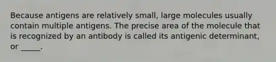 Because antigens are relatively small, large molecules usually contain multiple antigens. The precise area of the molecule that is recognized by an antibody is called its antigenic determinant, or _____.