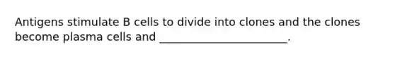 Antigens stimulate B cells to divide into clones and the clones become plasma cells and _______________________.