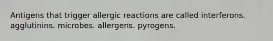 Antigens that trigger allergic reactions are called interferons. agglutinins. microbes. allergens. pyrogens.