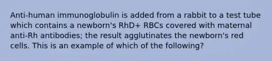 Anti-human immunoglobulin is added from a rabbit to a test tube which contains a newborn's RhD+ RBCs covered with maternal anti-Rh antibodies; the result agglutinates the newborn's red cells. This is an example of which of the following?