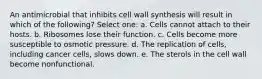 An antimicrobial that inhibits cell wall synthesis will result in which of the following? Select one: a. Cells cannot attach to their hosts. b. Ribosomes lose their function. c. Cells become more susceptible to osmotic pressure. d. The replication of cells, including cancer cells, slows down. e. The sterols in the cell wall become nonfunctional.