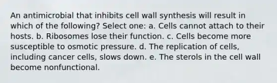 An antimicrobial that inhibits cell wall synthesis will result in which of the following? Select one: a. Cells cannot attach to their hosts. b. Ribosomes lose their function. c. Cells become more susceptible to osmotic pressure. d. The replication of cells, including cancer cells, slows down. e. The sterols in the cell wall become nonfunctional.