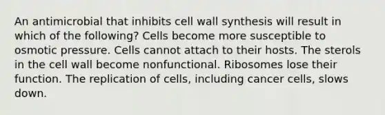 An antimicrobial that inhibits cell wall synthesis will result in which of the following? Cells become more susceptible to osmotic pressure. Cells cannot attach to their hosts. The sterols in the cell wall become nonfunctional. Ribosomes lose their function. The replication of cells, including cancer cells, slows down.