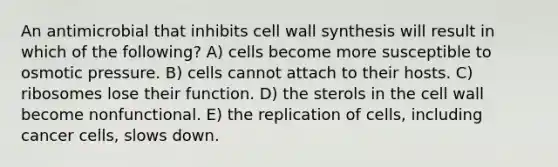 An antimicrobial that inhibits cell wall synthesis will result in which of the following? A) cells become more susceptible to osmotic pressure. B) cells cannot attach to their hosts. C) ribosomes lose their function. D) the sterols in the cell wall become nonfunctional. E) the replication of cells, including cancer cells, slows down.