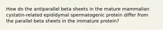 How do the antiparallel beta sheets in the mature mammalian cystatin-related epididymal spermatogenic protein differ from the parallel beta sheets in the immature protein?