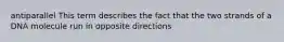 antiparallel This term describes the fact that the two strands of a DNA molecule run in opposite directions