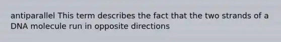 antiparallel This term describes the fact that the two strands of a DNA molecule run in opposite directions