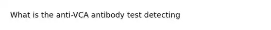 What is the anti-VCA antibody test detecting