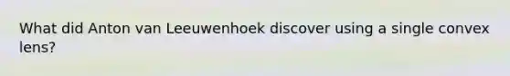 What did Anton van Leeuwenhoek discover using a single convex lens?
