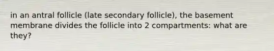 in an antral follicle (late secondary follicle), the basement membrane divides the follicle into 2 compartments: what are they?