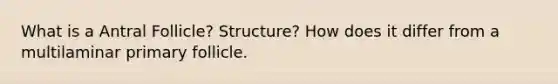 What is a Antral Follicle? Structure? How does it differ from a multilaminar primary follicle.