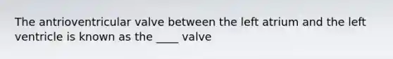 The antrioventricular valve between the left atrium and the left ventricle is known as the ____ valve